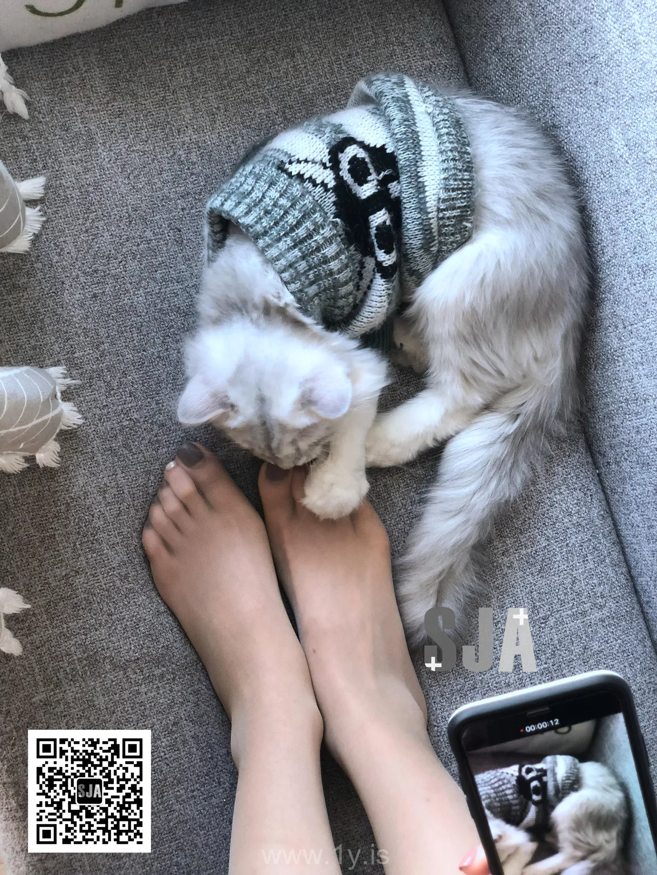 SJA佳爷 VOL.013 闺蜜视角《喵》